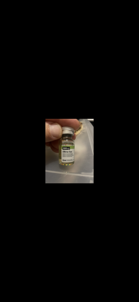 I actually got (10) vials of sustanon 500. There is no Pip with this liquid. I Planned this blast and cruise at 750mg per week.