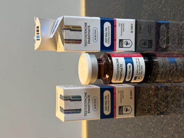 Here you can see my last order of Testosterone Enanthate (10 ml x 250 mg/ml) from Hilma Biocare. The Brand has a new Design of their package. The Bottle is now brown and also the security seals are updatet.
This Brand is Just Top Notch!